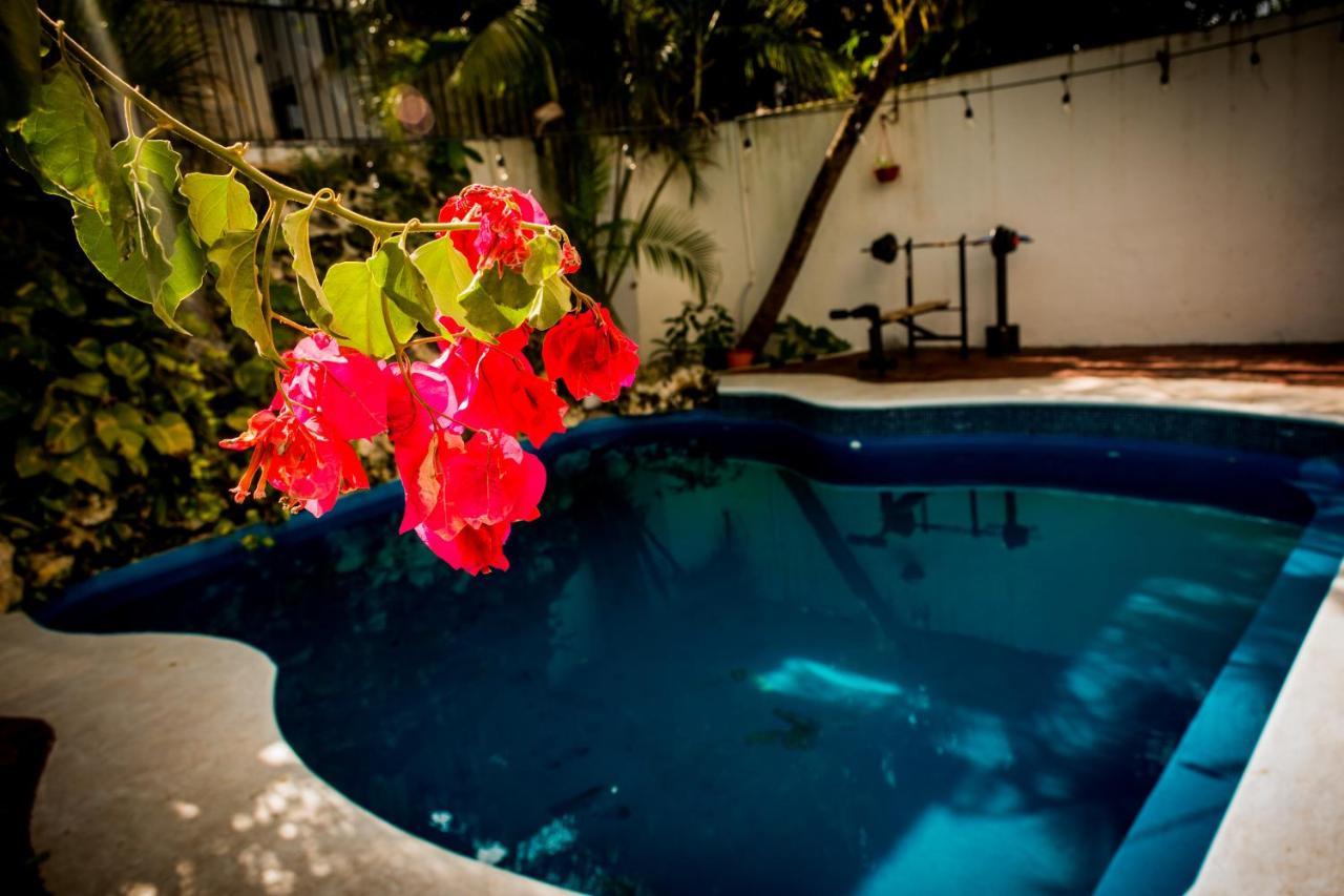 Casa Kimaya Otel Cancún Dış mekan fotoğraf